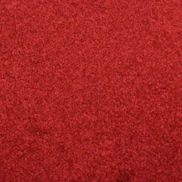 VidaXL Paillasson Rouge 80x120 cm