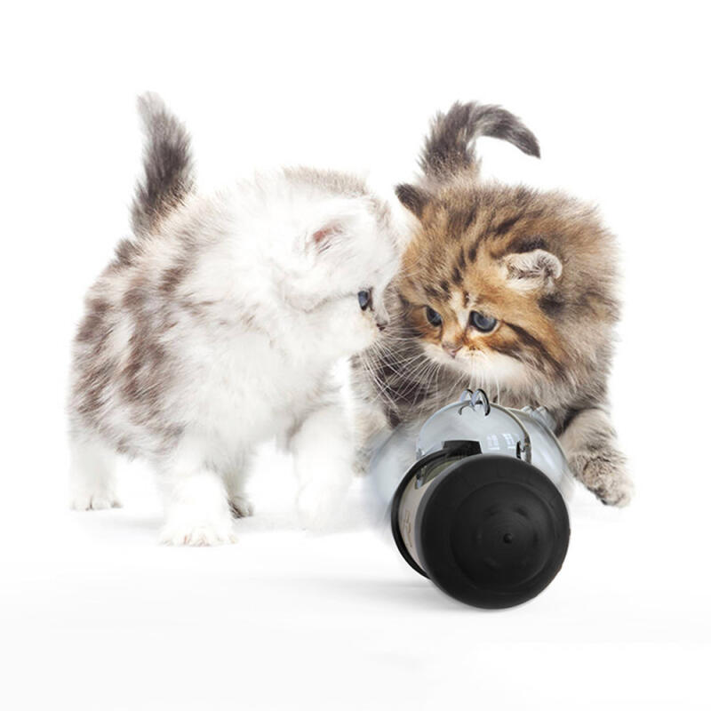 Pet Otuki Nasenarbeitsball (Schwarz)