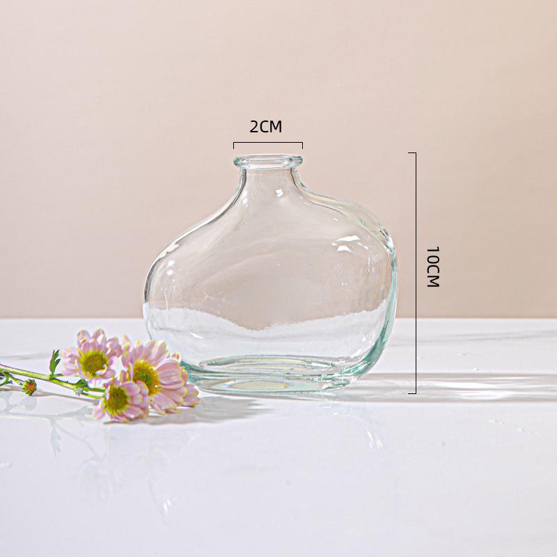 Minimalist Glass Vase for Hydroponic Green Plants - Perfect for Living Room Flower Arrangements and Home Decor