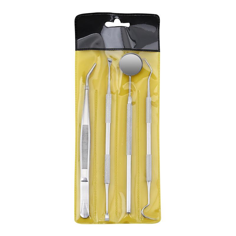 Dental Examination & Tartar Removal Stainless Steel Tool Set - 5 Pieces