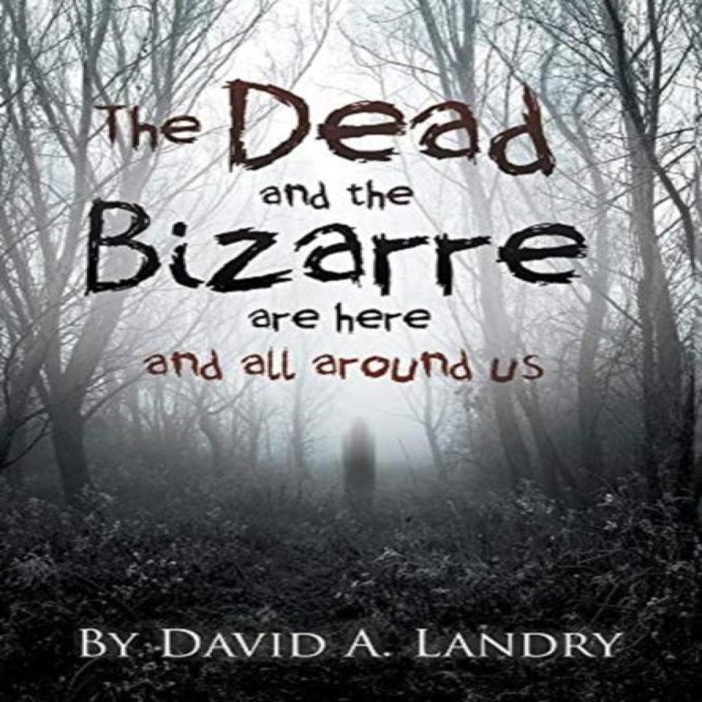 The Dead and the Bizarre are here and all around us by David A Landry Hardback Book 9781646207053