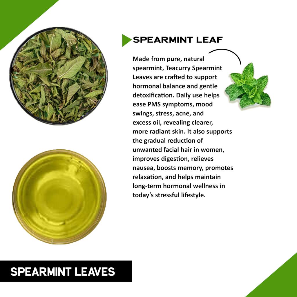 Spearmint Tea - Helps With Hormonal Imbalance, Facial Hair, And Pcos | Spearmint Tea Bags (30 Tea Bags - 1 Month Pack) - 60 Grams
