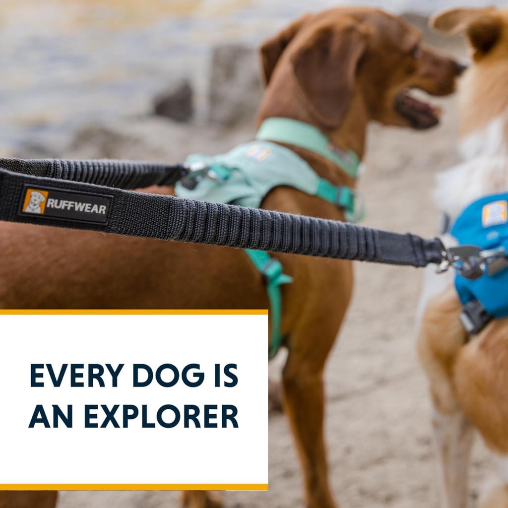 RUFFWEAR Double Track Coupler, Basalt Gray