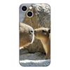 Black tpu Case For Samsung galaxy A3 A5 A7 2016 2017 2018 cover Capybara
