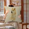 Abstract Shiba Inu Print Cushion Cover Car Throw Pillow Case For Sofa Car Christmas Gift 40X40Cm 45X45Cm