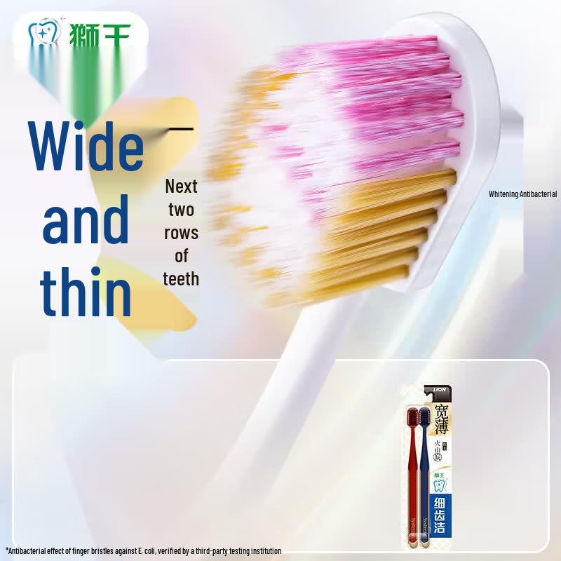 LION Volcanic Charcoal Wide Head Soft Bristle Toothbrush (2-Pack)