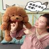 Teddybär Plüschtier Stofftier, Niedliche Lockige Welpenpuppe Sitzende Pose, Weicher Kuscheliger Begleiter Geschenk