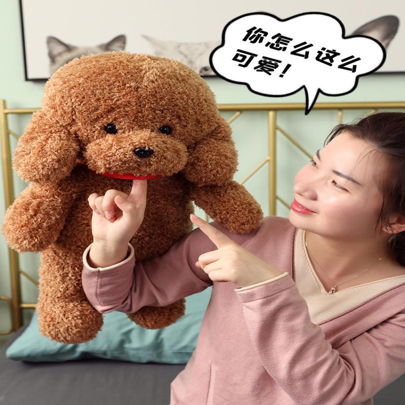 Teddybär Plüschtier Stofftier, Niedliche Lockige Welpenpuppe Sitzende Pose, Weicher Kuscheliger Begleiter Geschenk