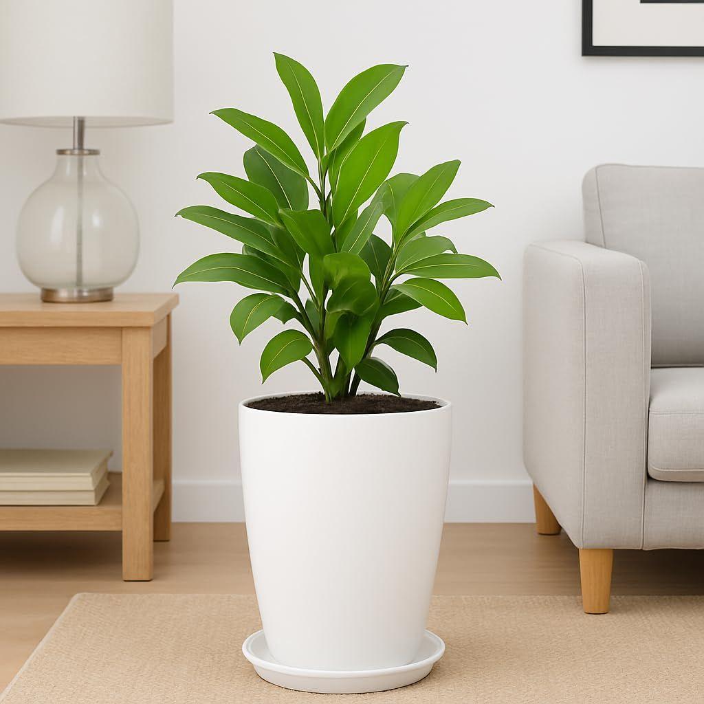 Blossom 12 Inch Solid White Flower Pot| Lightweight & Durable for Indoor/Outdoor | for Big Size Plants/Flower | Flower Pot for Living Room