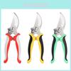 Effortlessly Trim Your Garden With 7.5in Stainless Steel Scissors