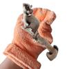 Sugar Glider Bonding Mitt Small Animal Handling Glove Rat Accessories Hedgehog Supplies Sleeping Pad 20x25cm/7.87"x9.84"
