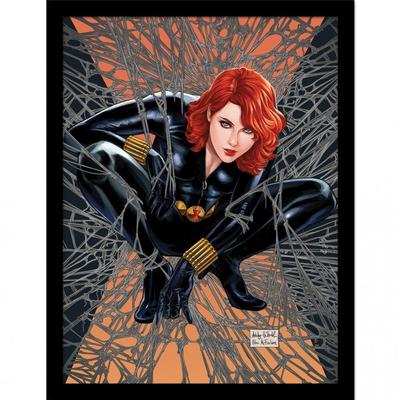 Web Of Black Widow Framed Poster