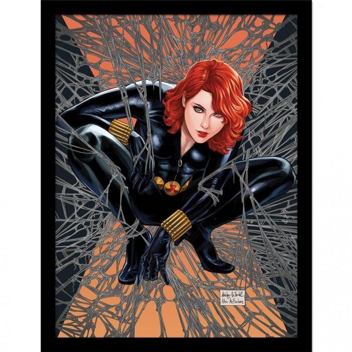 Black Widow Web Of Black Widow Framed Poster