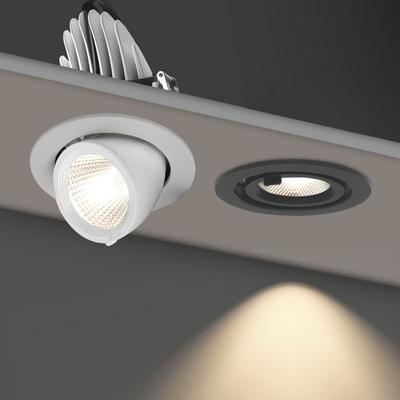 Led COB Downlight Einbauleuchte 360 Grad Einstellbar Winkel 5W 12W 20W 30W 40W Spot Lampe Wohnzimmer Büro Mall Bar AC110-240V