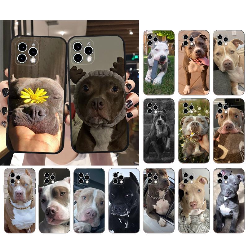 Phone Case Carcasa Funda For iPhone 17 Pro Max 17 Air 16 15 14 13 Pro Max 15 16 Pro 15Plus Pitbull Terrier Dog