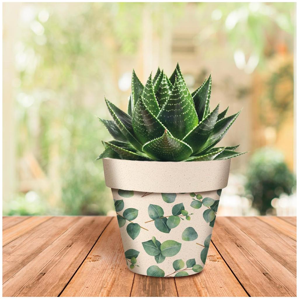 Les Trésors De Lily [A2054] - Bambus-Pflanztopf 'Eukalyptus' grün beige - 17x15 cm