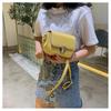 Trendy Korean Style Chain Shoulder & Crossbody Bag for Fashionable Ladies