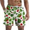 Daily Summer New Straight Tube Printed Loose 3D Men's Casual Shorts Beach Shorts Breathable Comfortable Outdoor Sports Board Shorts