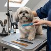Dense Teeth Dog Comb Wide Teeth Cat Comb Skin Friendly Pet Comb  Pet Grooming