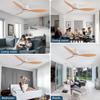 Remote Controlled Ceiling Fan with LED Light for Living Room, Restaurant, or Study