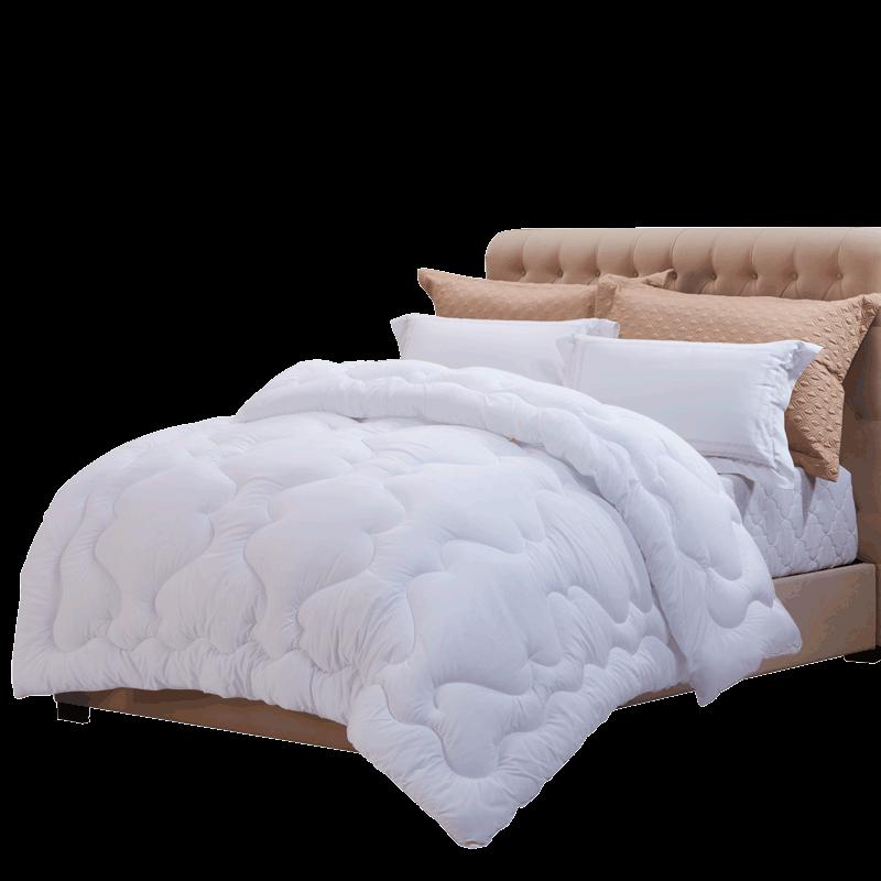 FUANNA Easy Warm Core Winter Duvet