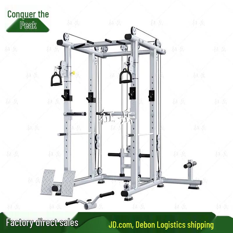 Zhengyue Commercial & Home Free Squat Rack
