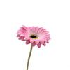 10pcs PU Gerbera Daisies Artificial Flowers Fake Sunflower Stems for Floral Arrangement