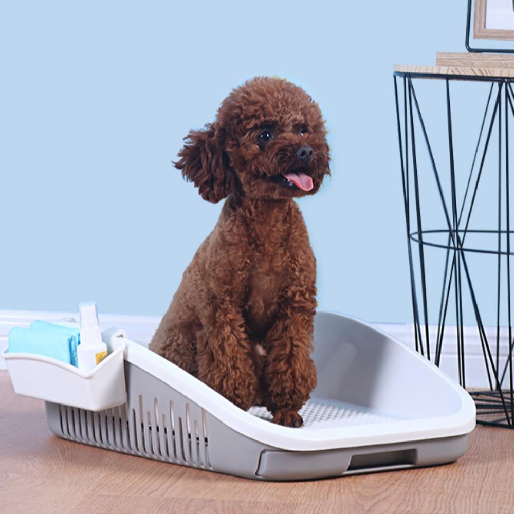 

Товары для животных Туалет для собак с ящиком Удобные и долговечные принадлежности серый