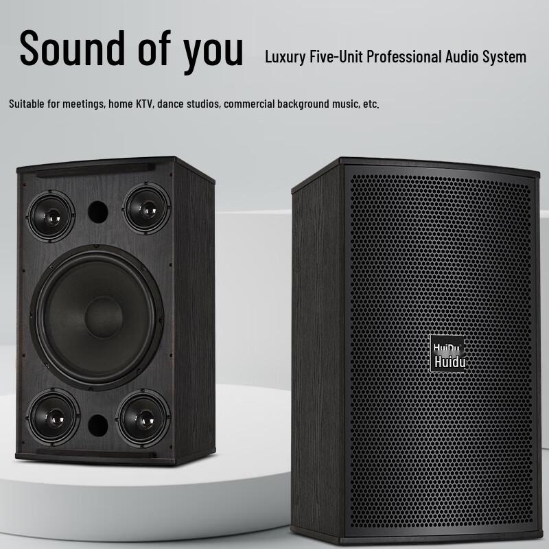 HuiDu S-12 Professional Speaker System (CN version)