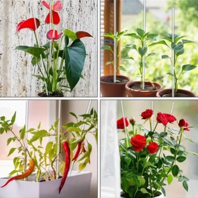 Bâtonnets de sucette en acrylique Transparents Gâteau Chocolats Topper Bâtonnets Support de plantes polyvalent Bâtonnets de support pour plantes Bricolage Décorations de gâteau de cuisson