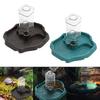 Reptile Food Water Bowl Automatic Feeders Waterer Dispenser Bottle for Small Animals