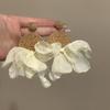 Silver needle chiffon raffia fabric pendant earrings seaside vacation temperament earrings design sense niche earrings women
