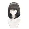 Cosplay Short Perfect for Parties and Includes 3 Bonus a Special and a Memo Heat-resistant Wig, "Second Castle" Blue-and-brown, Hair, Disguises.