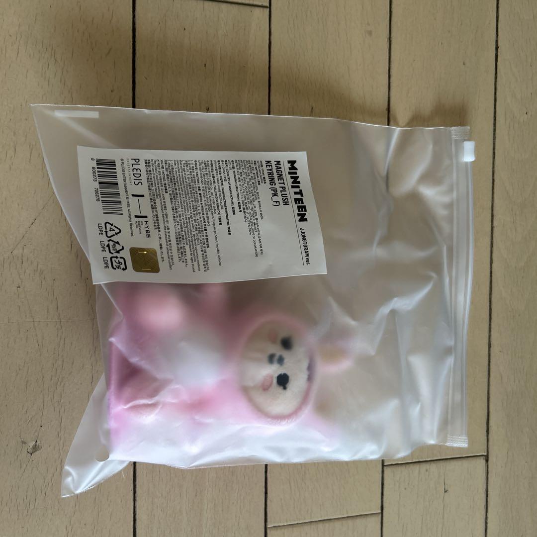 

[USED] SEVENTEEN MINITEEN Jeonghan Tram Plush Toy