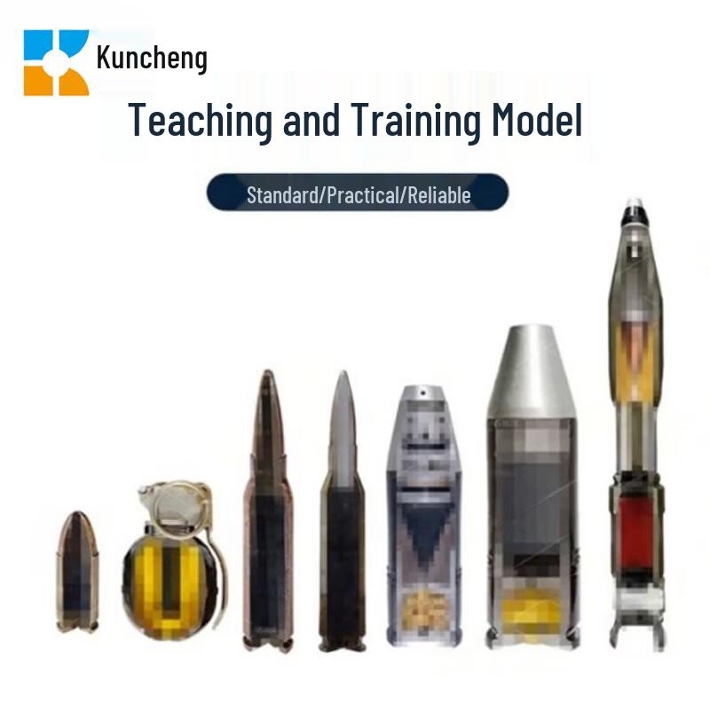 Kuncheng Quarter-Section Medical Anatomy Model