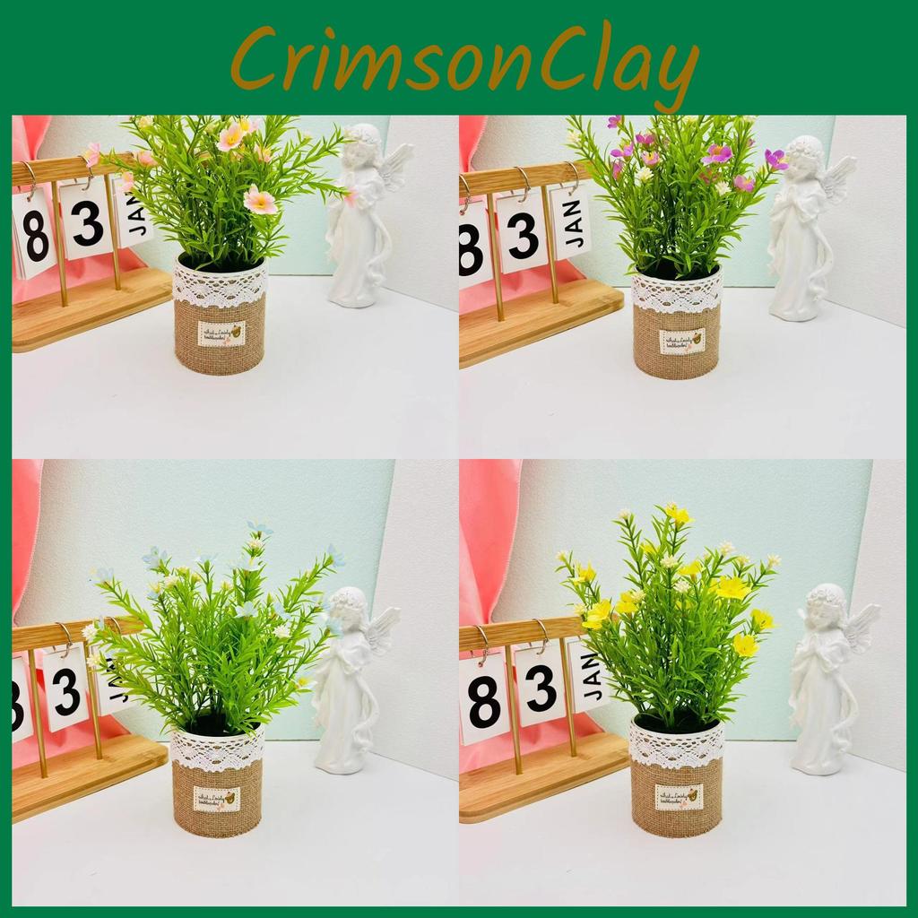 Perennis Potted Bellis Plant Linen Flower Pot For Hotel Dining Room Decoration