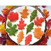 4PCS Fall Leaves Cutter Set Maple Leaf Cutter Set Washable Durable Christmas Leaf Cutting Mold