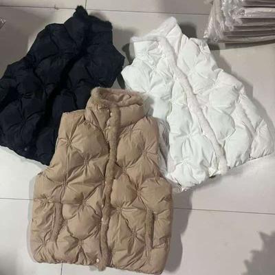 Nouveau gilet en coton duvet imitation vison pour femme, court, automne et hiver, brillant, ample, couleur unie, col montant