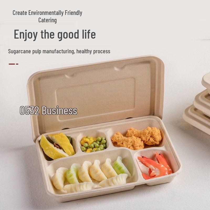 ZISIZ Biodegradable Disposable Lunch Box