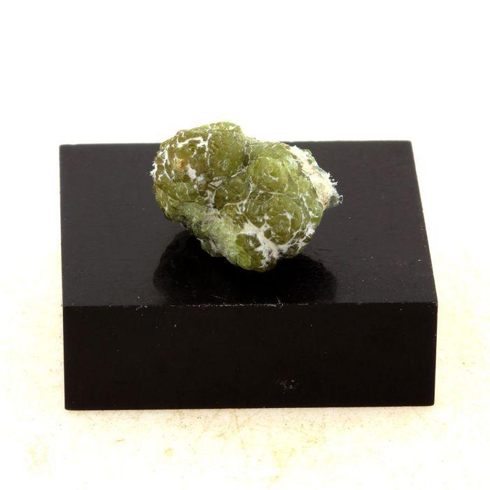 Pierres et Minéraux. Grenat démantoïde. 18.0 ct. Malenco Valley, Lombardy, Italie.