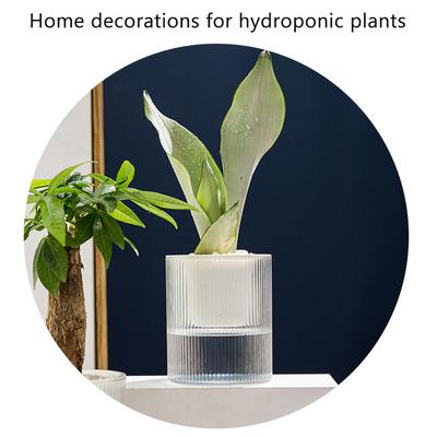 Einfacher Wasserabsorbierender Blumentopf Guter Entwässernder Wiederverwendbarer Pflanztopf Für Gemüsepflanzen