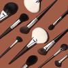 Ebony Wood Animal Hair 40-Piece Makeup Brush Set for Eyeshadow and Blush