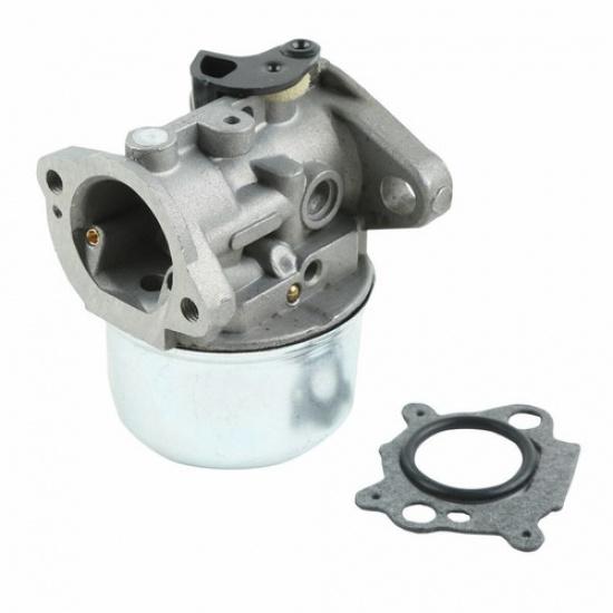 Carburetor For  498170 497586 799868 497347 799872 790821 Carb US