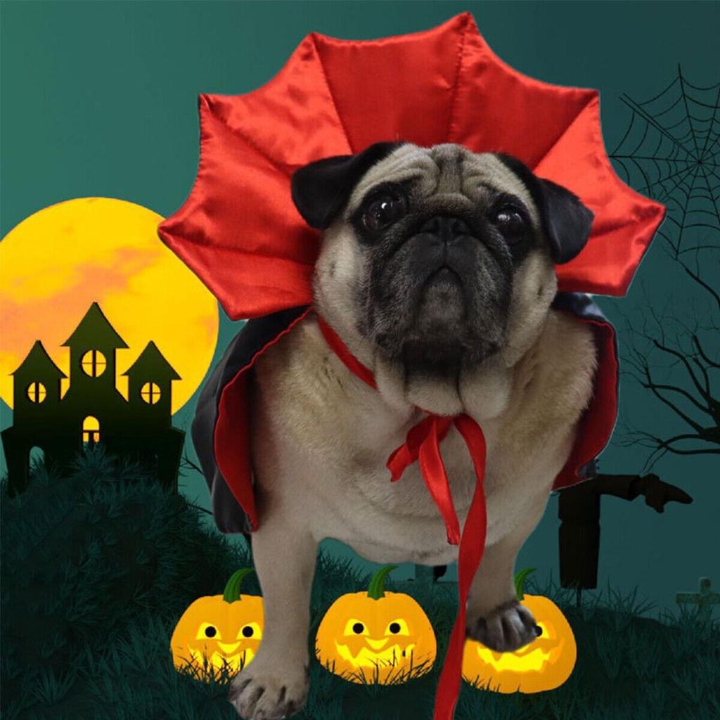 Pet Halloween Costumes Get Your Furry Friend Ready For The Spooky Season With This Vampire Cloak!