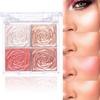 Professional Face Highlighter Makeup Facial Powder Waterproof Pigment Powder Palette