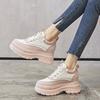 Inner Height Increase New Spring and Autumn Dad Shoes Platform Ins Sports and Leisure Shoes