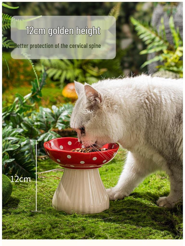 Universal Ceramic Cat & Dog Bowl - Anti-tip, High-legged Design for Neck Protection