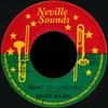 Płyta 7-calowa DELROY WILSON I Want To Love You NS003 Neville Sounds UK Reggae Ska Dub Używana