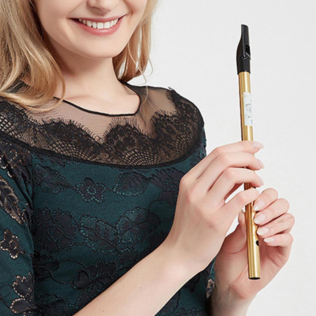 Irish Tin Whistle Wind Instrument - Accurate Tuning 6 (C Tuned)
