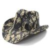 Western Cowboy Big Eave Hat Farm Prairie Equestrian Shade Sunscreen Paper Large Pattern Men's Jazz Top Hat